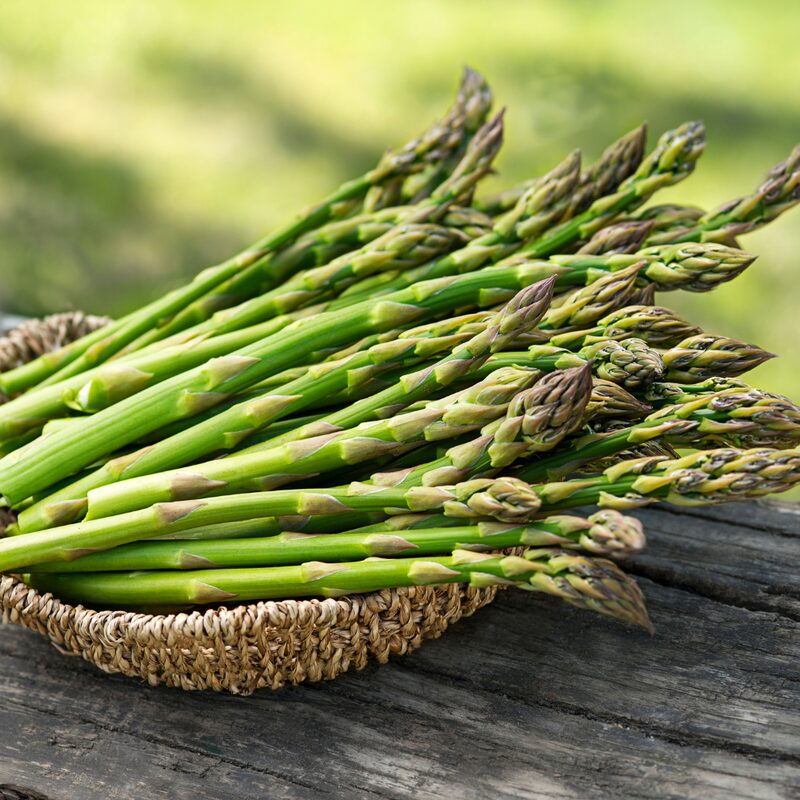 10 Pack Mary Washington Asparagus Crowns, Green Asparagus Roots 2 Yrs Old