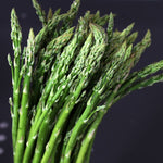 5 Pack Mary Washington Asparagus Crowns, 2 Years Old, Green Asparagus Roots