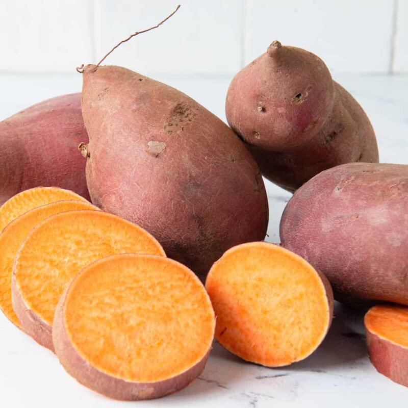 Orange Sweet Potato Slips, Sweet Potato Vine Live Plant - 10 Slips - Non-Gmo Organic - Well Rooted - Zone: 10-11- Outdoors - Full Sun