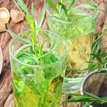 3 Texas Tarragon Plants Mint Herb 4-8"