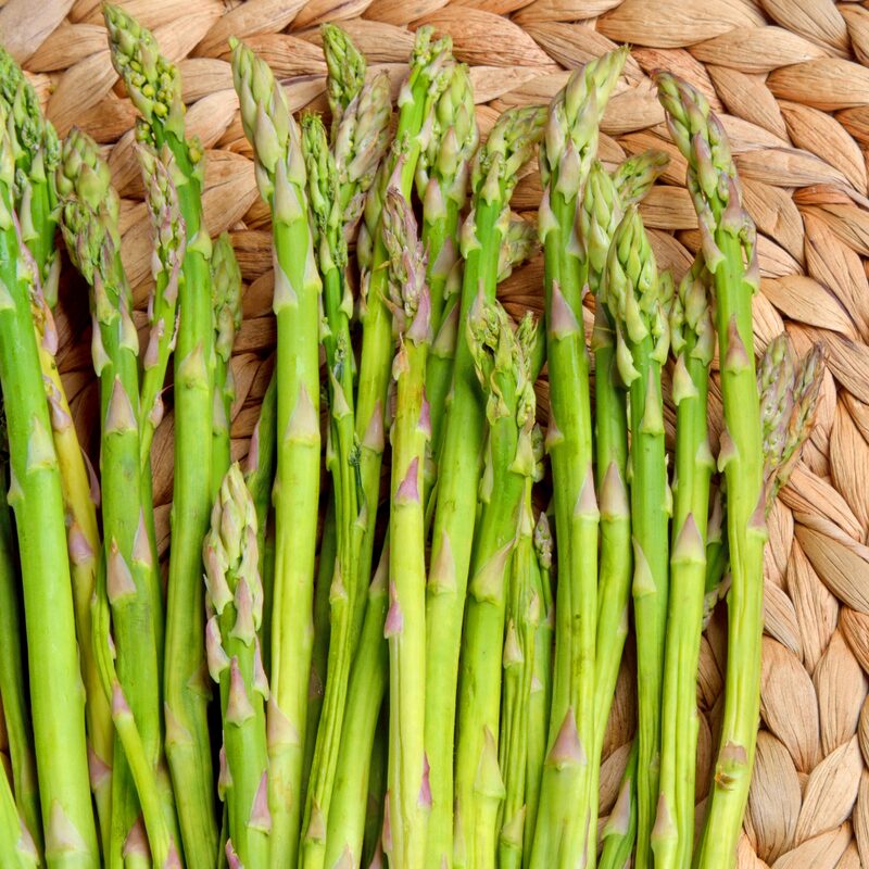 6 Green Asparagus Plants - Hardy Vegetable Plants - Zone 3 To 9