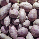 10 Purple Sweet Potato Starter Slips for Planting, Vegetable Garden Plants
