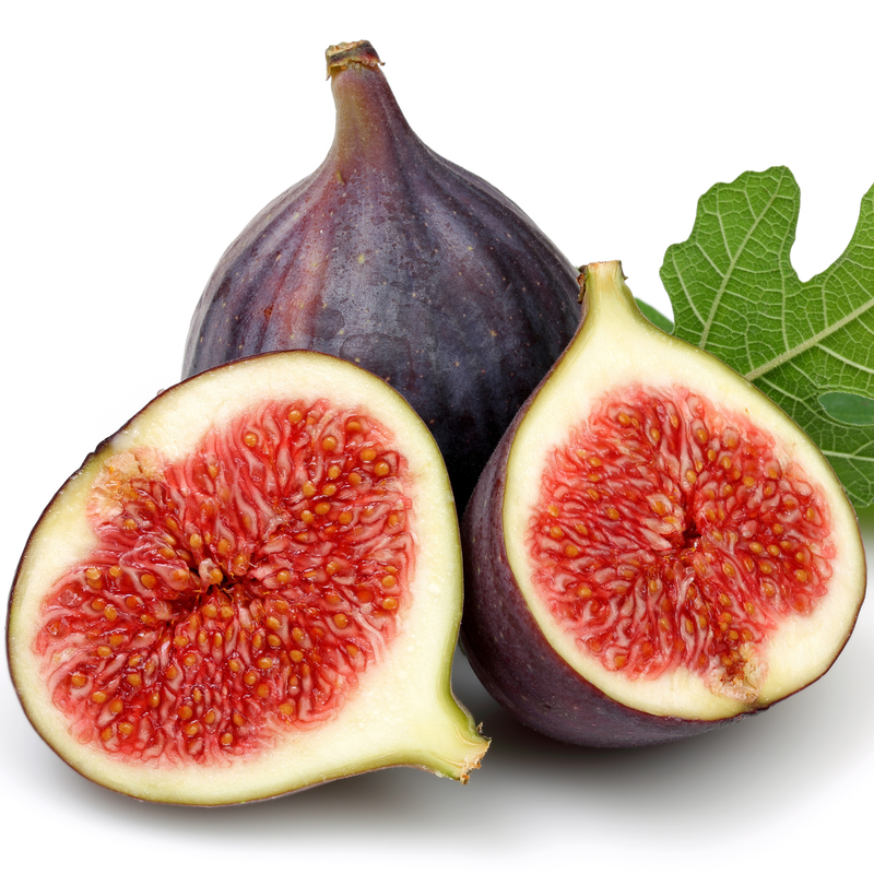 Set 2 Black Mission Fig Trees 4-8 Inch Tall