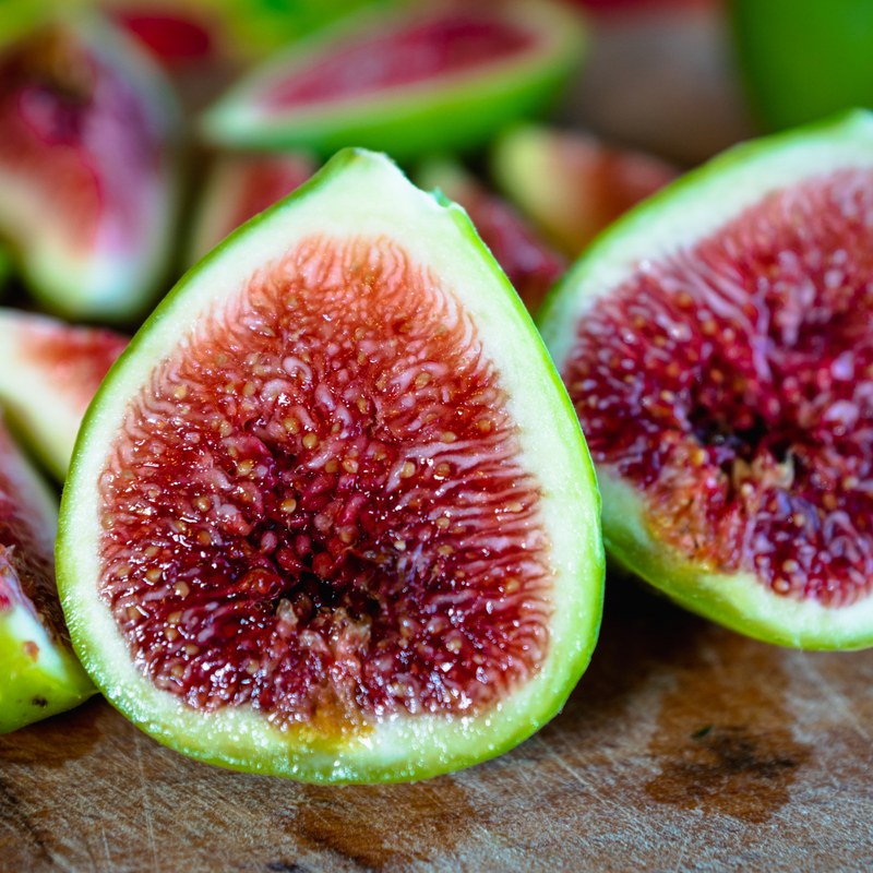 Brown Turkey Fig Plant 4-8 Inc