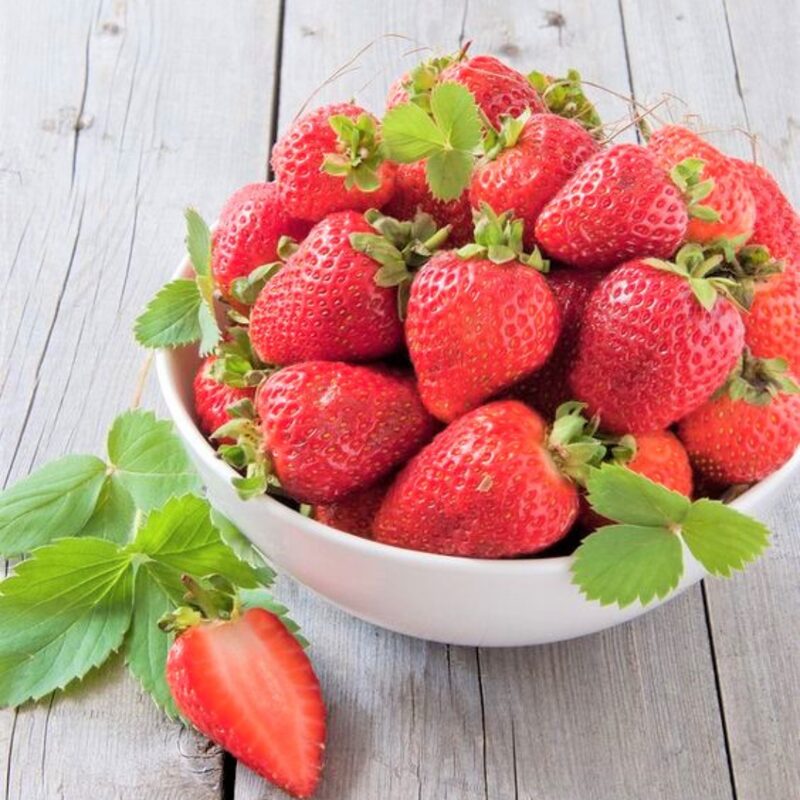 Strawberry Plants Bareroot - 250 Bareroots - Cabot Strawberry