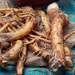 4Lbs Horseradish Bareroot Crowns – Fresh Live Horseradish Roots for Planting, Packed by Weight
