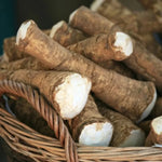 4Lbs Horseradish Bareroot Crowns – Fresh Live Horseradish Roots for Planting, Packed by Weight