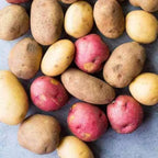 Mixed Seed Potatoes for Planting, Yukon Gold, Russet and Red Potato Fresh Heirloom and Non GMO Potato Seeds, Potato Tuber, 2 Pound