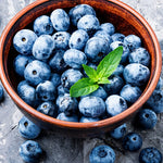 O'neil Blueberry Plant