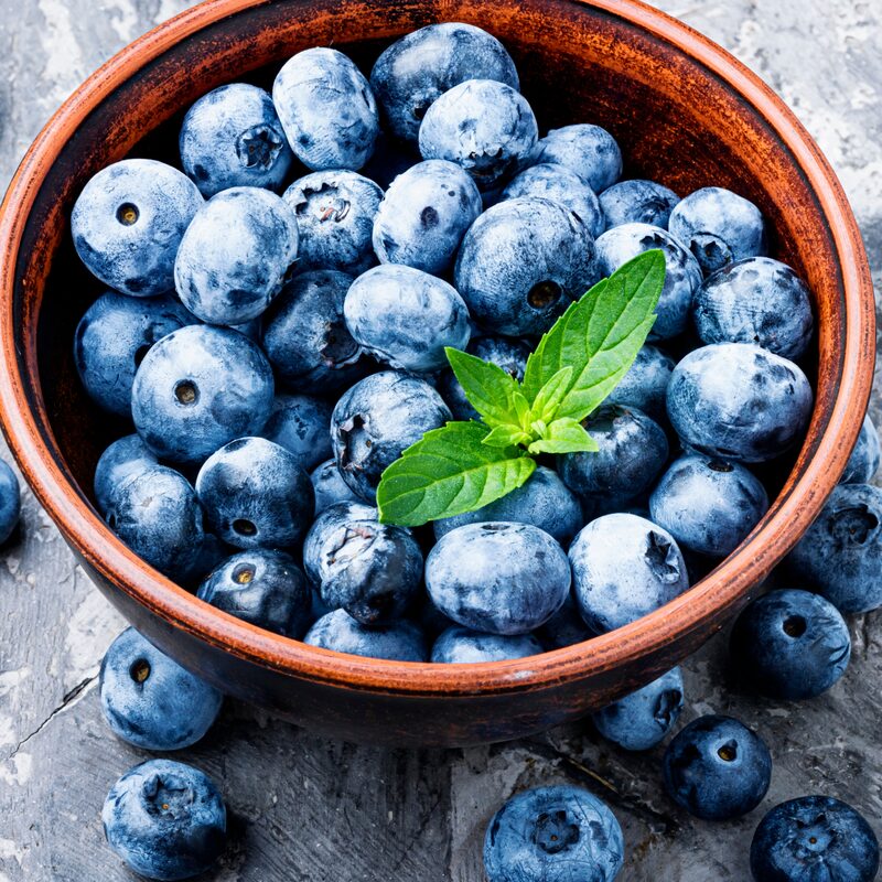 O'neil Blueberry Plant