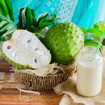 Sweet Soursop Plant 5-8 Inc Tall