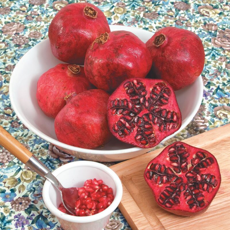 Pomegranate Tree Live Plant - Wonderful Pomegranate - 1 Year-Old - Potted Plant