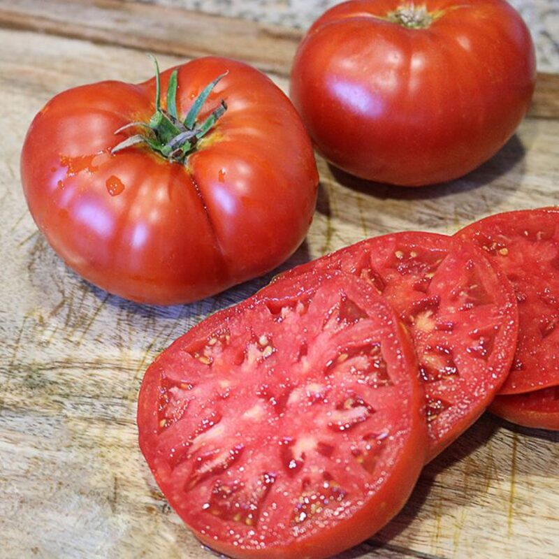 Tomato Plant 4 to 8 Inch Tall - Big Boy Tomato