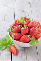 Strawberry Plants Bareroot - 100 Bareroots - Chandler Strawberry