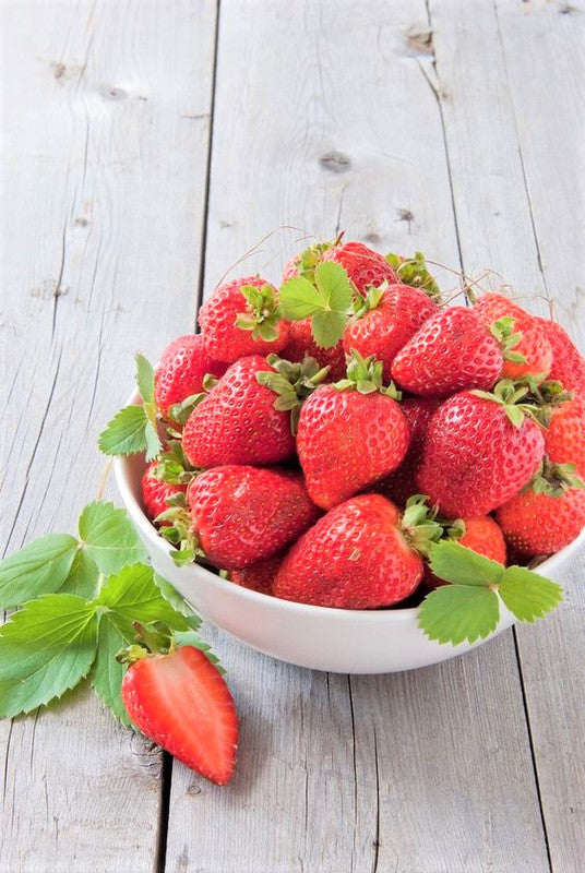 Strawberry Plants Bareroot - 10 Bareroots - Chandler Strawberry