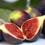Set 2 Violette De Bordeaux Fig Trees 4-8 Inch Tall