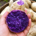 10 Okinawa Sweet Potato Slips, Purple Flesh Variety for Planting