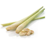 Set 800 Lemongrass Seeds for Indoor or Outdoor Growing, Fragrant Culinary Garden Seeds for Planting
