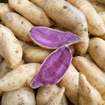 10 Okinawa Sweet Potato Slips, Purple Flesh Variety for Planting