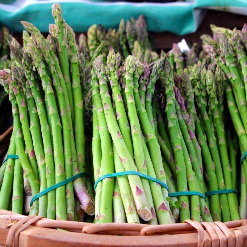 25 Mary Washington Asparagus Crowns - 2 Year Asparagus Roots
