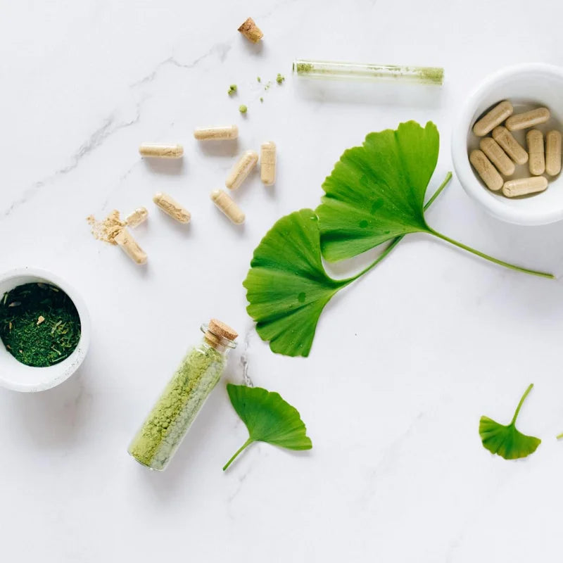 Set 5 Maidenhair Ginkgo Trees Live Plants, Ginkgo Seedlings Bare Roots, Ginko Biloba for Growing, 7-12 Months Old Ginkgo Tree, Yellow Leaves In Fall