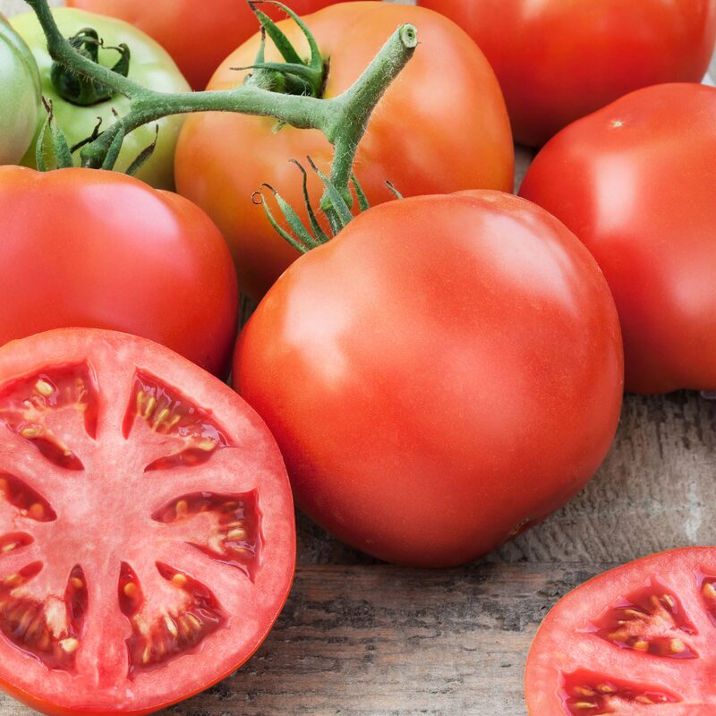 Tomato Plant  Big Beef 4 to 8 Inch