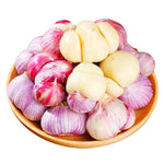 1 Pound Garlic for Planting in Spring Hardneck, 5-6 Chesnok Red Garlic Bulbs for Planting, Fresh and High Yield Bulb Variety Pack, Hardy and Fast Growing