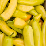 2PPP Yellow Banana Pepper Plants Live, Pepper Plants, 4-7'' Tall
