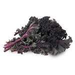 Red Kale Plants Live for Planting, 4 Inch Pot, Vegetable Kale Plants, Easy Care Plant for Outdoor Home Garden