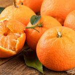 Sweet Seedless Mandarin Tree Live Plant Grafted 2-3 Feet, Fast-Growing and Bear Fruit for Citrus Garden Outdoor Planting Zones 9-11