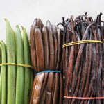 Fast Growing Vanilla Bean Orchid Live Plant, Green Fragrant Beans Vanilla Starter Plant, 3 to 7 Inches in Tall, Rare Plant Outdoor Indoor