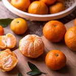 Sweet Seedless Mandarin Tree Live Plant Grafted 2-3 Feet, Fast-Growing and Bear Fruit for Citrus Garden Outdoor Planting Zones 9-11