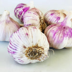 4 Softneck Garlic Bulbs for Planting in Fall, XL Size Garlic Bulbs for Growing
