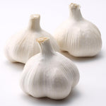 1 Pound Hard Neck Garlic for Planting in Fall, White Garlic Bulb for Planting, Fresh and High Yield, Cold Hardy, Planting Softneck Hardneck