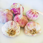 4 Softneck Garlic Bulbs for Planting in Fall, XL Size Garlic Bulbs for Growing