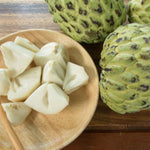 Sugar Apple Tree Live Plant, 2-3 Ft in One Gallon Pot, 2 Years Old Tree Annona Squamosa Soursop Like, Outdoor Spring Tropical Fruit Planting, No CA
