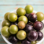 2 Rare Grape Vines Live Plants, Sweet Starter Grapevine from 5 to 8 Inches in Tall, Easy to Grow Indoor Outdoor, No Pot (Black Muscadine)