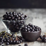 Black Chokeberry Tree Live Plant Seedling for Outdoor Planting, No CA, Edible Aronia Berry Shrub, Cold Hardy, 7-14 Inches in Tall