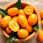 Meiwa Kumquat Tree Live Plant, 2 Years Old Golden Orange Citrus Fruit Tree in 1 Gallon Pot, Indoor Outdoor Patio Container Plant, Zones 8-11
