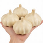 4 Softneck Garlic Bulbs for Planting in Fall, XL Size Garlic Bulbs for Growing
