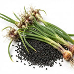200 Seeds Walking Onion Plants Live, Not Bulbs, Fast-Growing and High Yielding, Cold Hardy Onion for Year-Round Planting