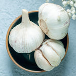 4 Large Music Garlic Bulbs for Planting in Spring, High Yield Hardneck Garlic Cloves Seeds, Fresh, Cold Hardy and Fast Growing, Various Varieties
