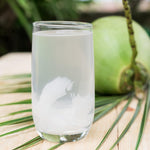 Dwarf Coconut Tree Live Plants, Well Rooted from 2 to 3 Feet Tall, Green and Yellow Coconut Plant, Tropical Fruit for Indoor Outdoor Planting
