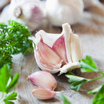 1 Pound Garlic for Planting in Fall Softneck Hardneck, 5-6 White Garlic Bulbs for Planting, Fresh and High Yield Bulb Variety Pack, Hardy and Fast Growing