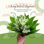 10 Lily of the Valley Bulbs, Sweet-Scented Spring Flowers, White Lilies Flower Bulbs for Planting