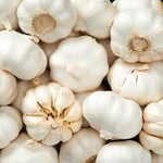 4 Jumbo White Garlic Bulbs for Planting in Spring, High Yield Hardneck Garlic Cloves Seeds, Fresh, Cold Hardy and Fast Growing, Various Varieties