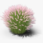 Clump 5-9" Muhly Grass Live Plant for Spring Planting, Ornamental Grass, Perennial Grasses Fast-Growing, Vibrant Color (Vibrant)