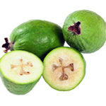 Guava Tree Live Plant, 5 to 7 Inc Tall, Pineapple Guava Plant Live for Planting, Zone 9 to 11