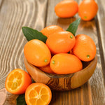 Meiwa Kumquat Tree Live Plant, 2 Years Old Golden Orange Citrus Fruit Tree in 1 Gallon Pot, Indoor Outdoor Patio Container Plant, Zones 8-11