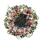 200 Seeds Walking Onion Plants Live, Not Bulbs, Fast-Growing and High Yielding, Cold Hardy Onion for Year-Round Planting